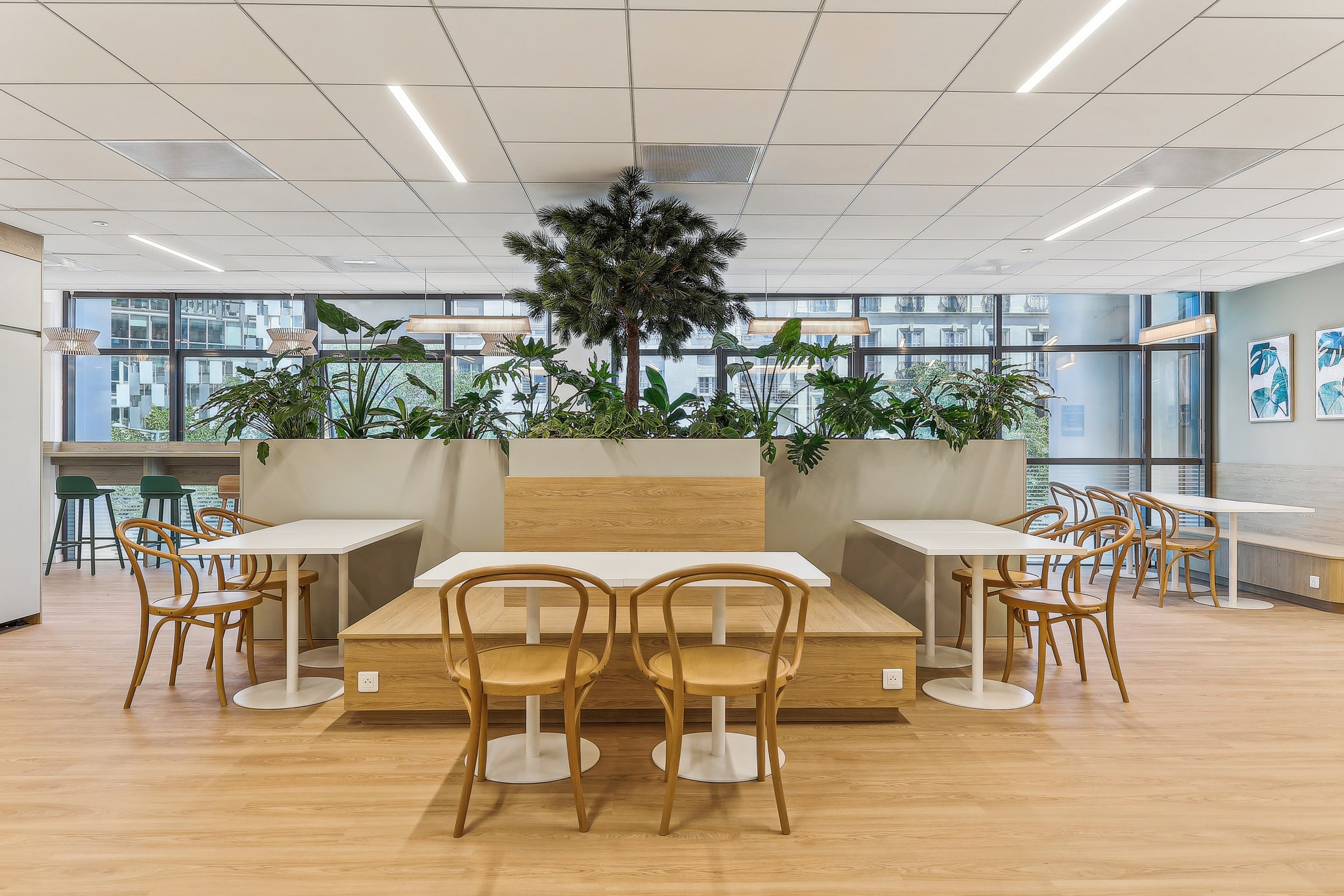 Cafétéria moderne avec tables blanches, chaises en bois clair et bac à plantes verdoyant dans un bureau lumineux.