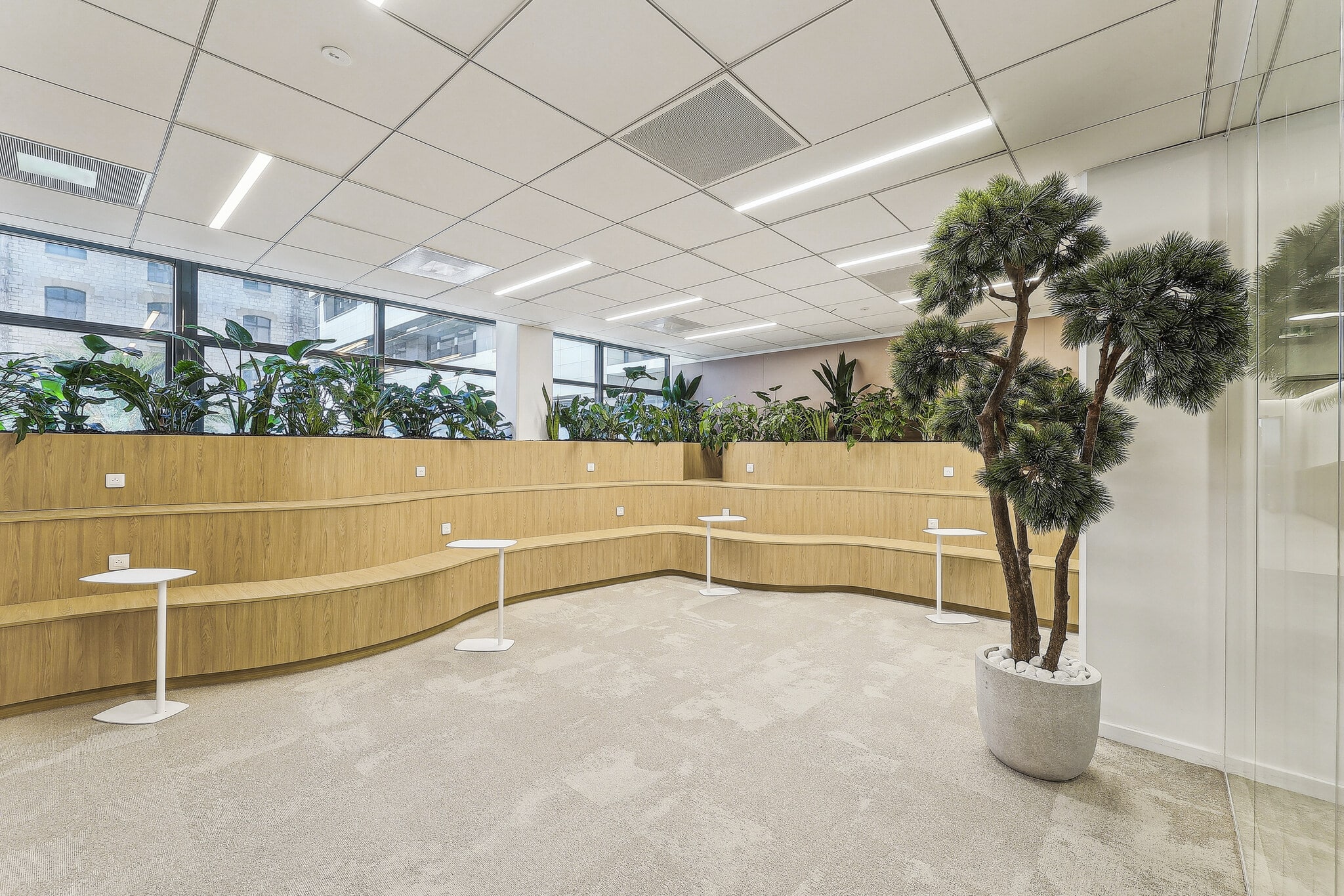 Espace de coworking avec gradins en bois, plantes vertes et tables blanches dans un bureau moderne lumineux.
